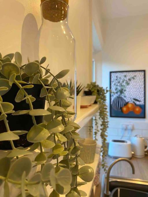 Garden Apartment, Central Harrogate With Parking Экстерьер фото