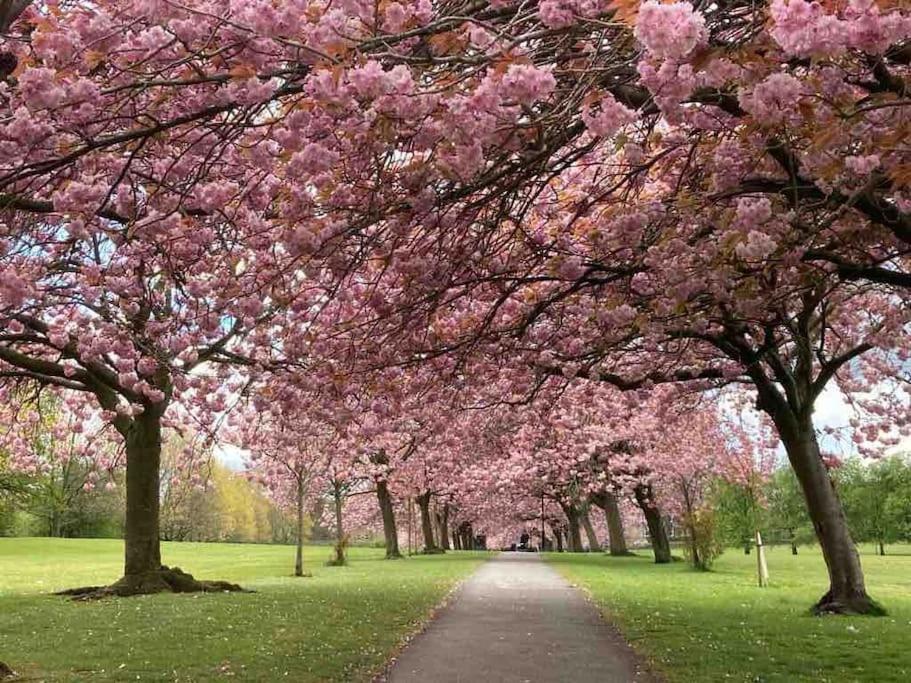 Garden Apartment, Central Harrogate With Parking Экстерьер фото